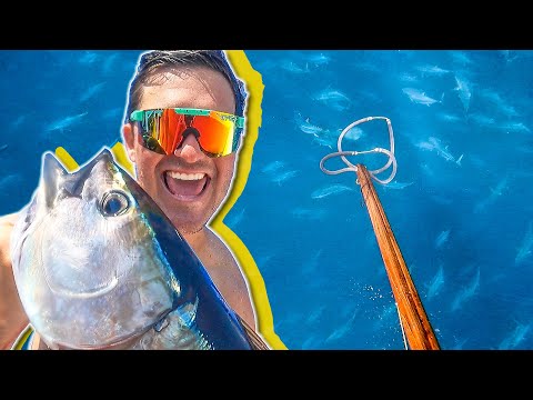 Spearfishing Bluefin Tuna on a 120cm reel-gun