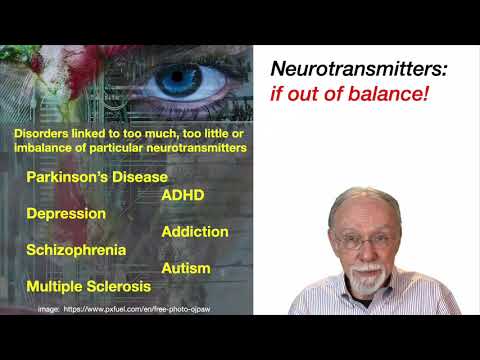 Introducing Your Neurons