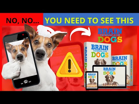 BRAIN TRAINING FOR DOGS REVIEW Desbloqueie o potencial oculto do seu cão hoje