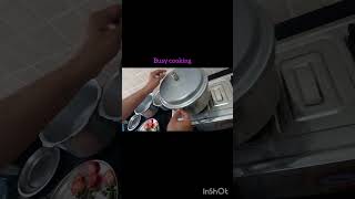 Minivlog Morning vlog of software professional