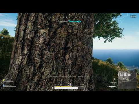 PUBG Chicken dinner