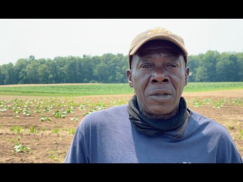 Farm Relationships in Norfolk County: Part 5