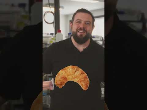 What do we have in common with yeast cells?