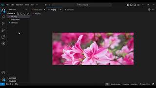 basic html css responsive form