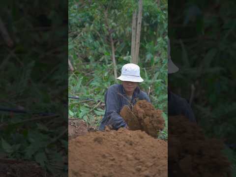 Girl digging soil to make a septic tank on the farm #farmlife #sinhton