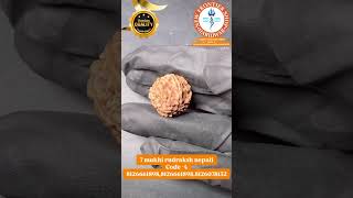 7 mukhi rudraksh nepali Code -4 8126661898,8126661898,8126078132