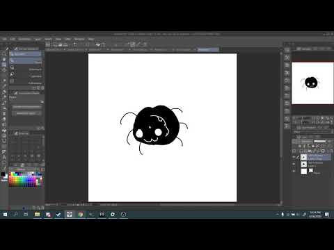 A spider