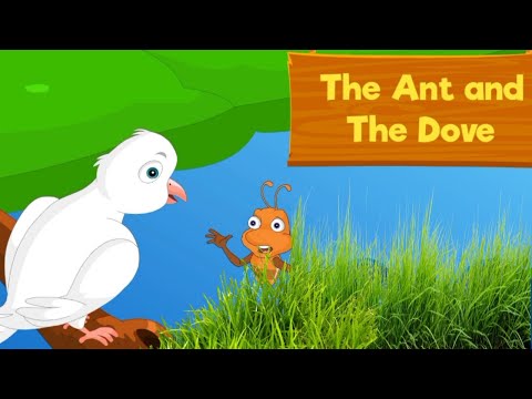 The Ant And The Dove