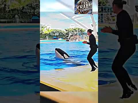 "⚠️ Viral Jasika accident clip! Shocking moment caught on camera — stay safe & alert on roads.#viral