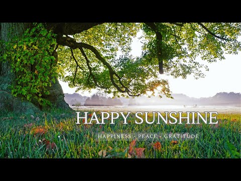 Happy Sunshine 🌞 Relaxing and Healing Music to Calm Mind & Body - For Happiness, Peace & Gratitude