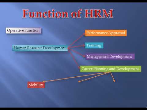 Human Resource Management In Hindi Part 8(D)