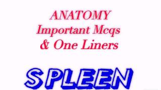 SPLEEN- Anatomy mcqs/one liners for pg entrance exam