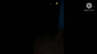 #terrorvideo