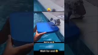 #viralvideo #speedoptimization #animals #cartoon #cute #youtubeshorts
