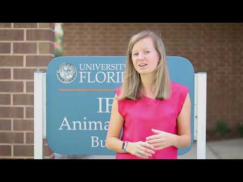 Congratulations Animal Sciences Class of 2020
