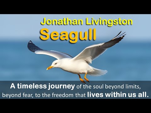 Jonathan Livingston Seagull Full Audiobook | This Story Will Change Your Life | By Richard Bach