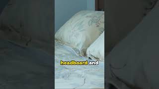 The Bed Epiphany #didyouknow #mindblowingdiscovery #interestingfacts