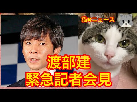 渡部建記者会見で一連の報道説明❗️について　(渡部建　アンジャッシュ　多目的　トイレ　不倫　記者会見　緊急記者会見　謝罪　王様のブランチ　ガキ使　時事ネタ　炎上　猫✖︎ニュース)　#260