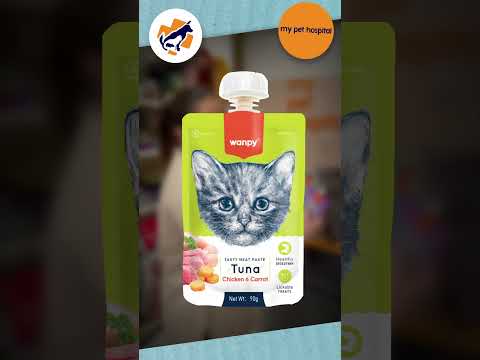 Wanpy Wet Cat Food: A Culinary Delight for Your Feline Friends | My Pet Hospital