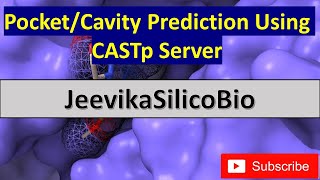 Pocket/Cavity Prediction Using CASTp server