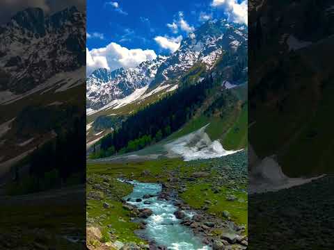 Ghar se nikla karo doston 😏❤️ #ghumna #trip #shayaristatus #travelshorts #newshorts #newplacevlog