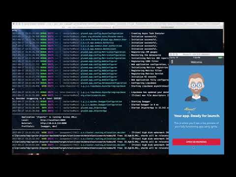 Ignite JHipster Demo