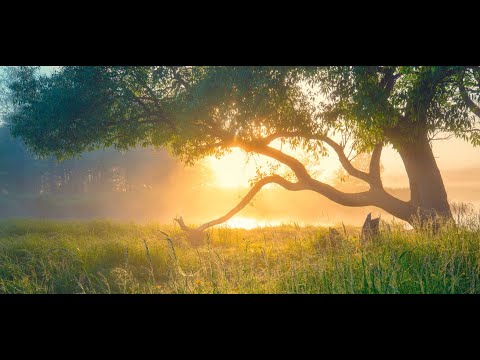 Pass It On | SDR Childrens Music