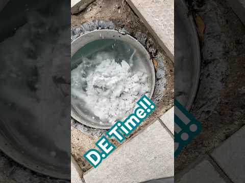 Filter’s favorite snack 😋 #poolcleaning #satisfying #satisfyingsounds #poolmaintenance #fyp