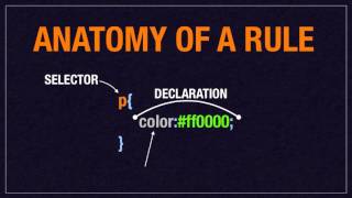 CSS3 BASICS - BEGINNERS, MODERATE AND ADVANCE DESIGNERS