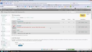 Top WordPress Plugins