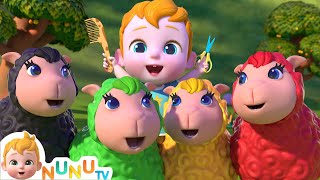 Baa Baa Colour Sheep + More Nursery Rhymes & Kids Songs | NuNu Tv