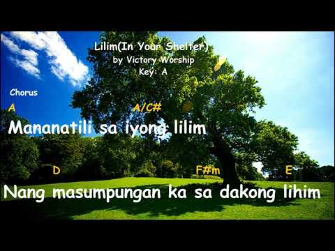 Lilim (In Your Shelter) || Victory Worship || Chords And Lyrics