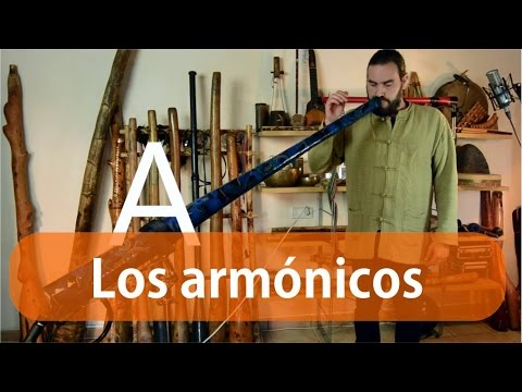 4 - Los armónicos del Didgeridoo