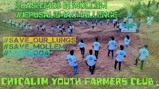 FLASH MOB by CYFC at SANGOD, MOLLEM, GOA | JERUSALEMA CHALLENGE