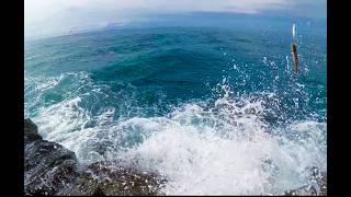Chasing Bonito at Newport Beach Jetty