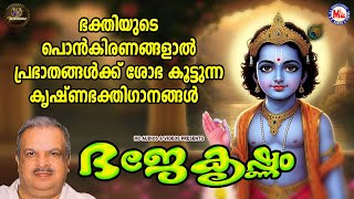 ഭക്തിയുടെ പൊൻകിരണങ്ങളാൽ പ്രഭാതങ്ങൾക്ക് ശോഭ കൂട്ടുന്ന കൃഷ്ണഭക്തിഗാനങ്ങൾ |Sree krishna Songs Malayalam