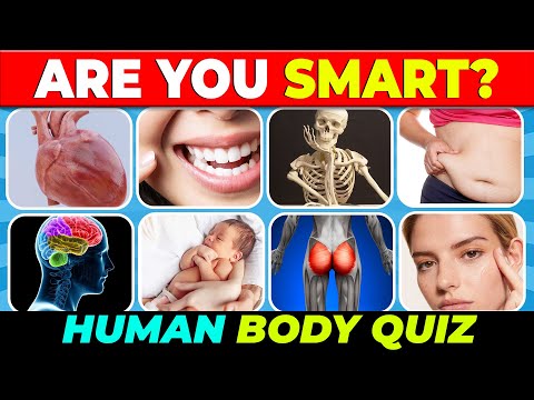 🧠 Can You Pass This Human Body Quiz? 💡