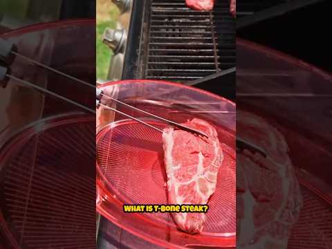 What is T-Bone Steak?