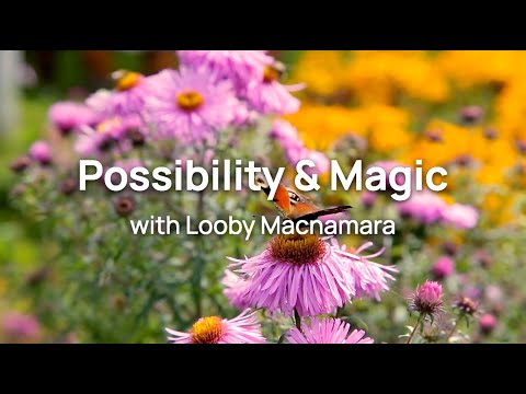 Possibility & Magic with Looby Macnamara