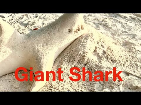 Giant shark Sand Sculpture