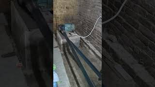 atta chakki #ballia #uttarpradesh #teztazachakki #freshatta