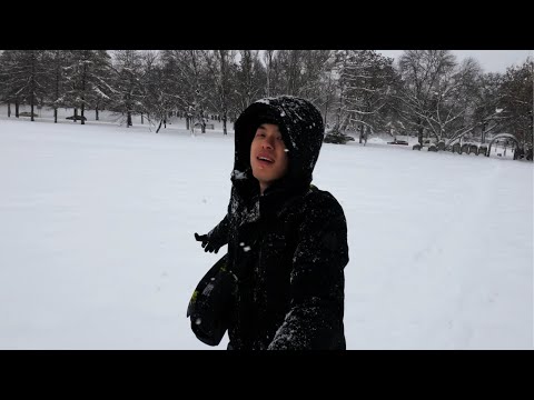 Playing with Snowfall - Slow Motion #shorts