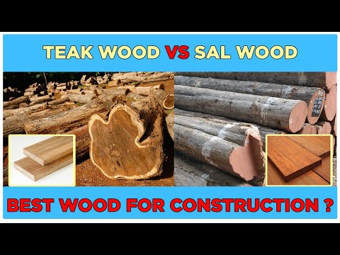 TEAK  WOOD VS SAL WOOD | difference between teak wood and sal wood |  Constructive Stories