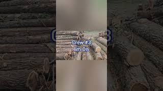 Logger Has Three Crews