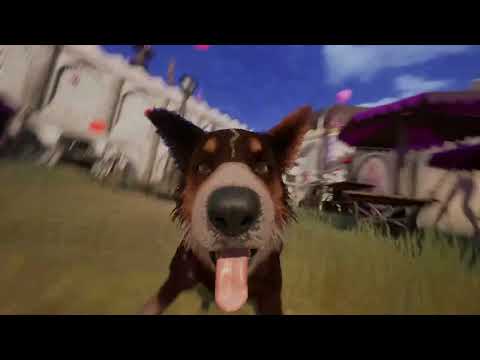 When not that random secret agent stole random guy's GoPro...🎥🐶