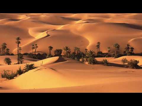 Totoasis – Wonderwallfrica