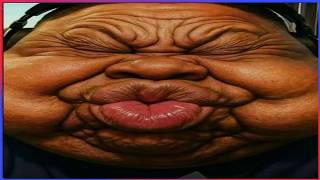 Best Fails of the Week 🤣 Try Not To Laugh Funny Videos #1