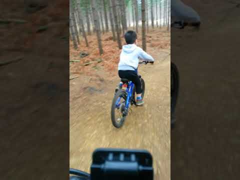 Tom On the green trail in Swinley forest