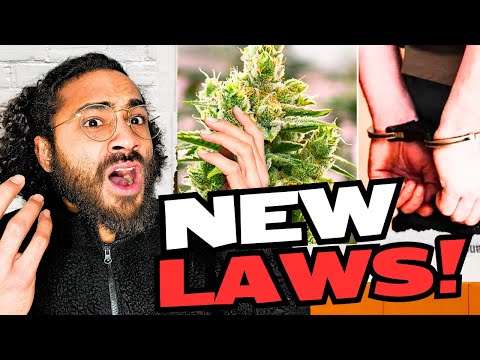 Shocking Cannabis Law Changes in 2025... Will Your State Be Affected? 😳