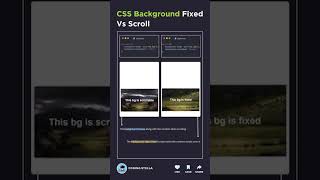 CSS Background Tricks You Need To See! #programmer #css